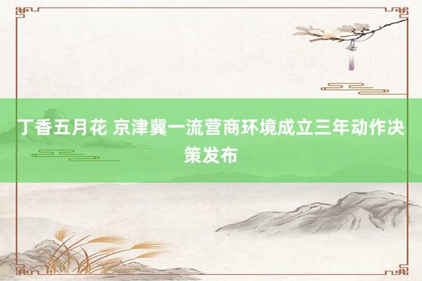 丁香五月花 京津冀一流营商环境成立三年动作决策发布