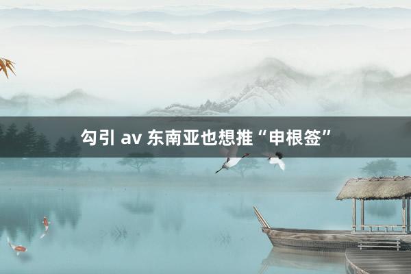 勾引 av 东南亚也想推“申根签”