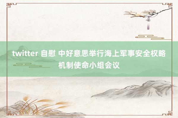 twitter 自慰 中好意思举行海上军事安全权略机制使命小组会议