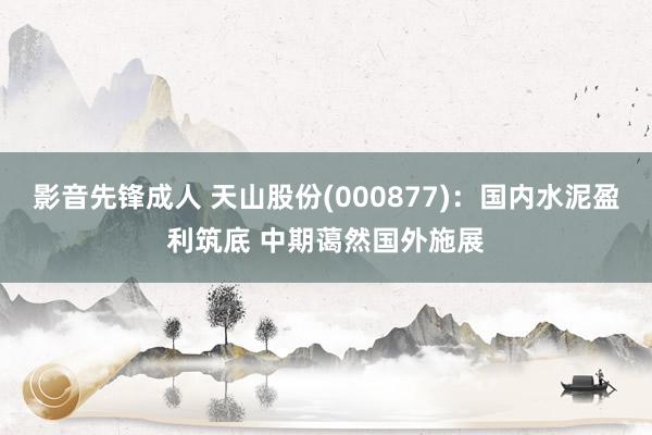 影音先锋成人 天山股份(000877)：国内水泥盈利筑底 中期蔼然国外施展