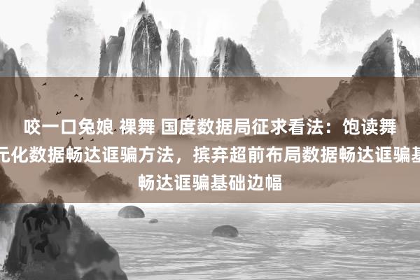 咬一口兔娘 裸舞 国度数据局征求看法：饱读舞探索多元化数据畅达诓骗方法，摈弃超前布局数据畅达诓骗基础边幅