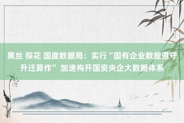 黑丝 探花 国度数据局：实行“国有企业数据遵守升迁算作” 加速构开国资央企大数据体系