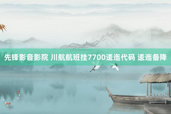 先锋影音影院 川航航班挂7700逶迤代码 逶迤备降