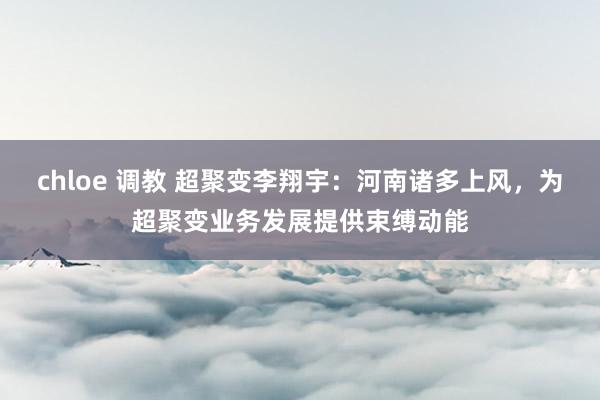 chloe 调教 超聚变李翔宇：河南诸多上风，为超聚变业务发展提供束缚动能