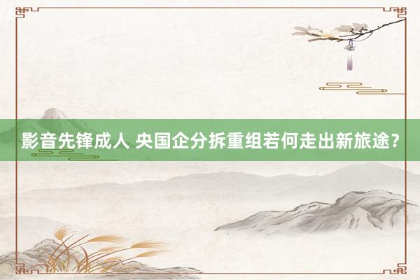 影音先锋成人 央国企分拆重组若何走出新旅途？