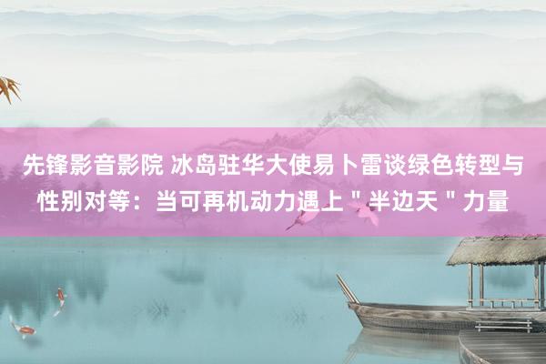 先锋影音影院 冰岛驻华大使易卜雷谈绿色转型与性别对等：当可再机动力遇上＂半边天＂力量
